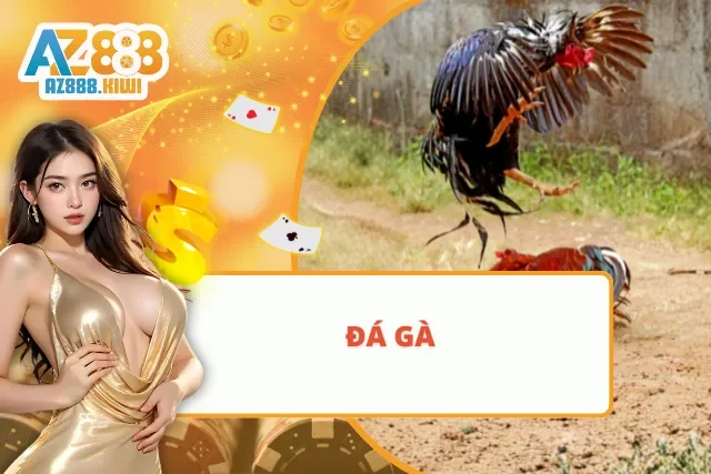 Đá gà mãn nhãn với chất lượng cao từ AZ888